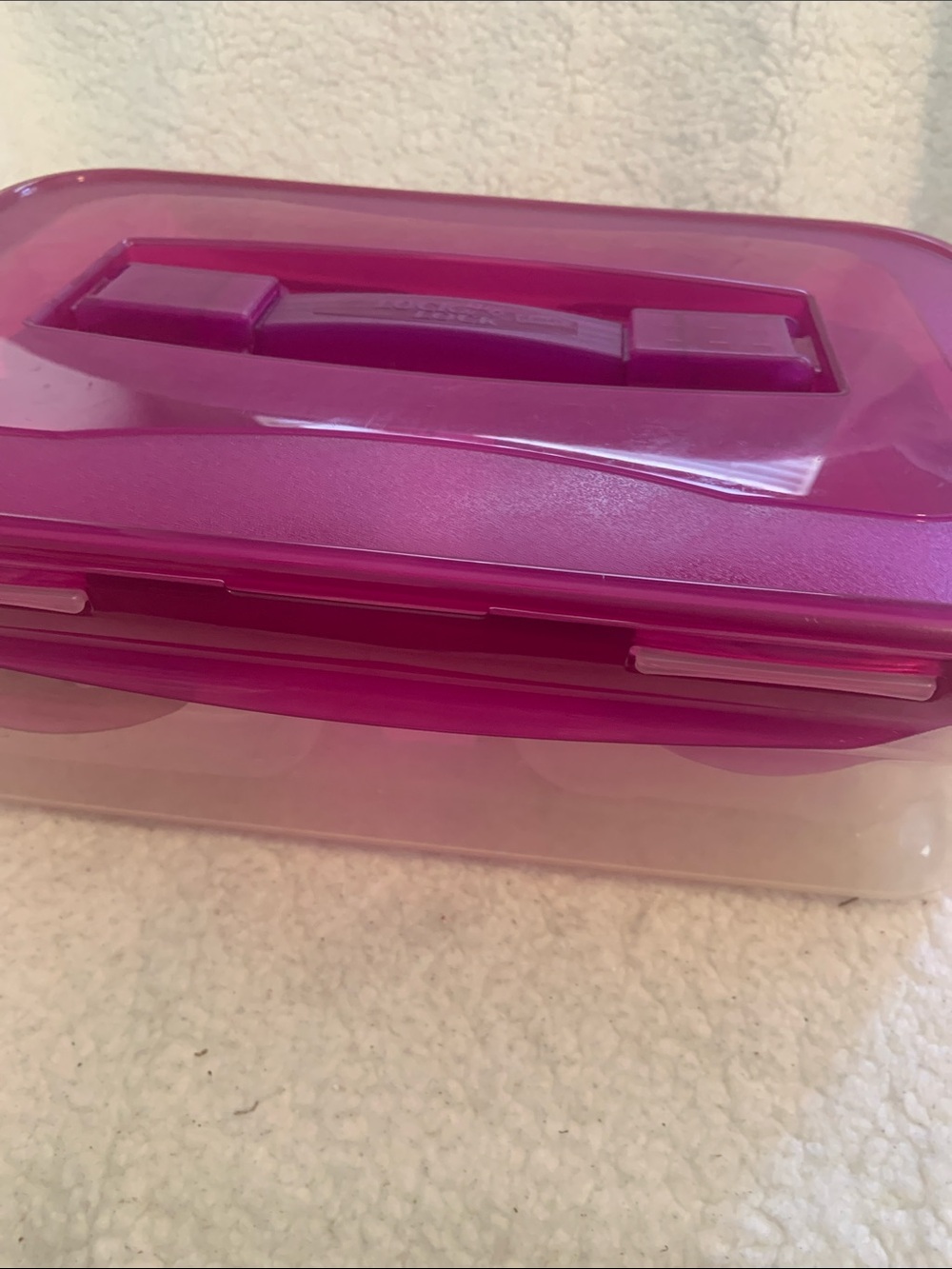 Stackable Pink Plastic Storage Box with Carry Handle